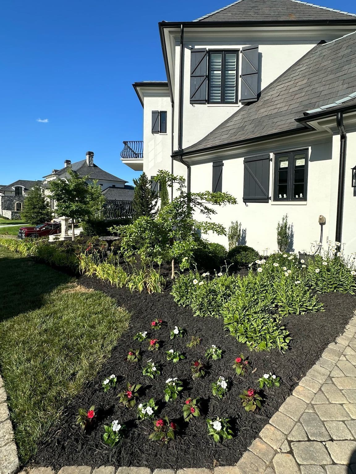 Sod & Landscape project