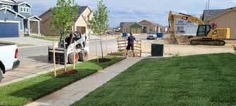 Sod & Landscape project