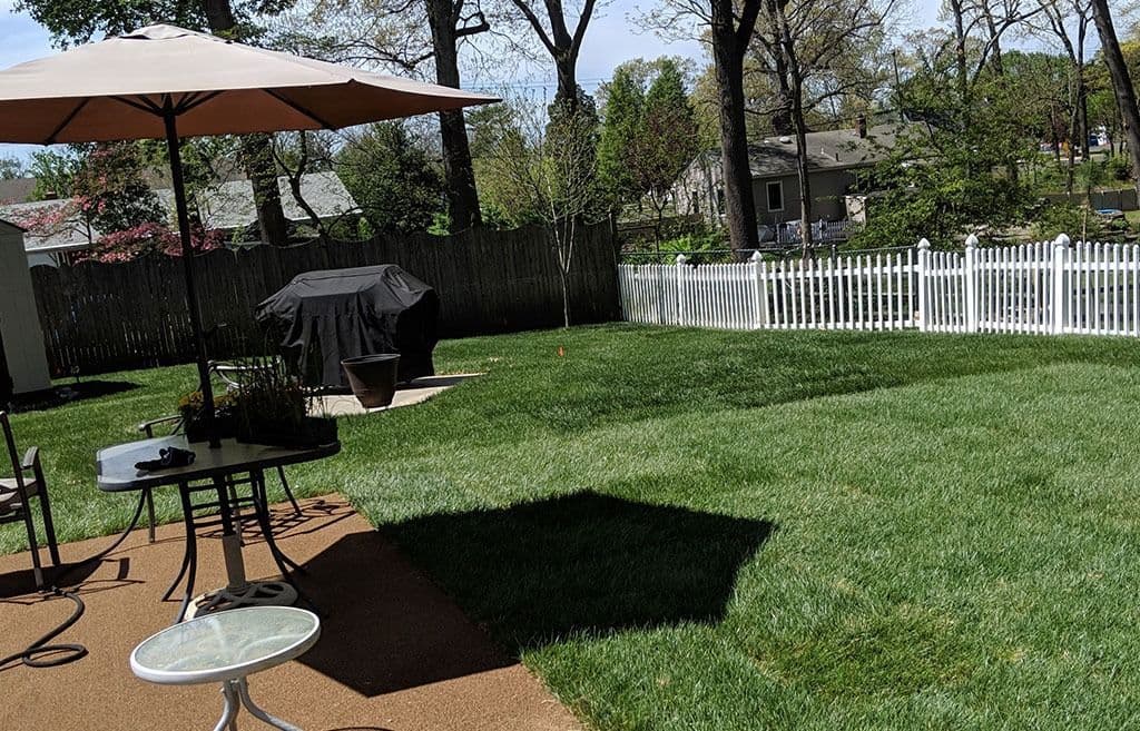 Sod & Landscape project